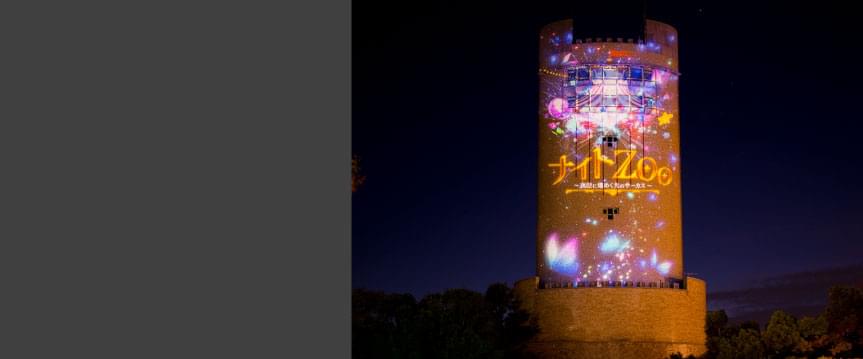 のんほいパーク 2018年,「ナイトZOO ～夜空に煌めく光のサーカス～」画像